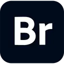 Adobe Bridge 2025 v15.0