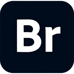 Adobe Bridge 2025 v15.0