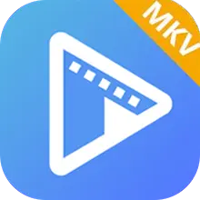 AVAide MKV Converter 1.0.16