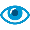 CareUEyes Pro 2.4.6