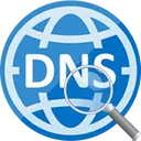 DNS Cache Viewer 1.4