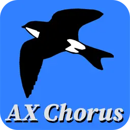 Martinic AX Chorus 1.3.1