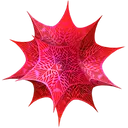 Wolfram Mathematica 14.1.0