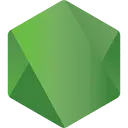 Node.js v23.5.0