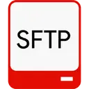 NSoftware SFTP Drive 3.0.8165