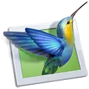 PicturesToExe Deluxe 9.0.22