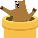 TunnelBear VPN