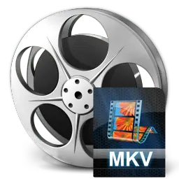 Xilisoft MKV Converter 7.8.26