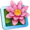 LilyView 1.6.0