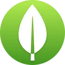 MongoDB Desktop 7.0.3-build.2