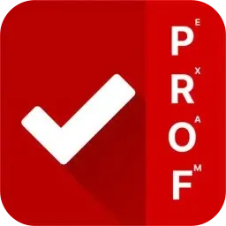 ProfExam Simulator 8.0.24087.2156