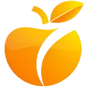 Orange VPN 1.1.1