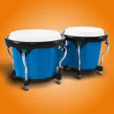 Congas & Bongos: percussions 8.37.5