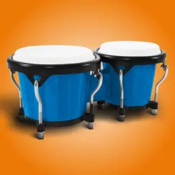 Congas & Bongos: percussions 8.37.5